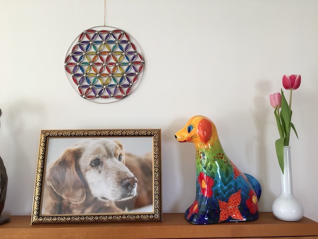 Logo mit Hund